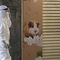 Duh! 2000 Hamster Positif Covid Delta Dimusnahkan