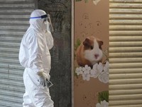 Duh! 2000 Hamster Positif Covid Delta Dimusnahkan