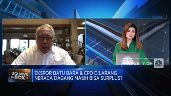 Akan Ada Larangan Terbatas Ekspor CPO, Pengusaha Setuju?