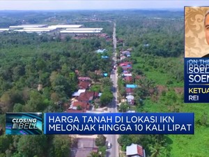 Harga Tanah di Lokasi IKN Melonjak Tajam