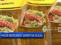 Hore! Mulai Hari Ini Minyak Goreng Satu Harga