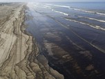 Potret Imbas Tsunami Tonga, Pantai Ini Penuh Tumpahan Minyak