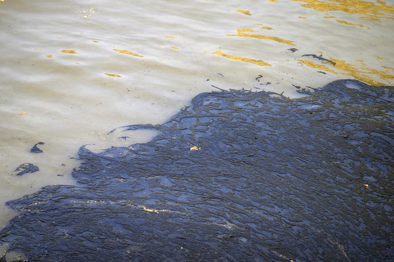 Peru Oil Spill Tonga Oil floats in the water off Cavero beach in Ventanilla, Callao, Peru, Tuesday, Jan. 18, 2022, after high waves attributed to the eruption of an undersea volcano in Tonga caused an oil spill. The Peruvian Civil Defense Institute said in a press release that a ship was loading oil into La Pampilla refinery on the Pacific coast on Sunday when strong waves moved the boat and caused the spill. (AP Photo/Martin Mejia)