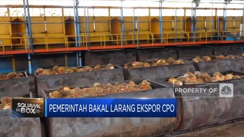 Market Bites: Pemerintah Bakal Larang Ekspor CPO