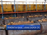 Market Bites: Pemerintah Bakal Larang Ekspor CPO