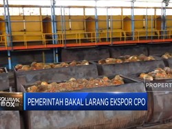 Market Bites: Pemerintah Bakal Larang Ekspor CPO