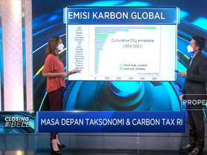 Begini Masa Depan Taksonomi Hijau dan Carbon Tax Indonesia