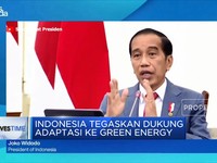 Indonesia Tegaskan Dukung Adaptasi Ke Green Energy