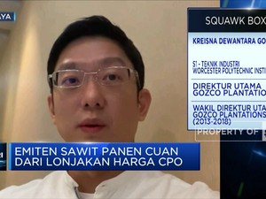 Harga CPO Meroket, Pengusaha Dukung Hilirisasi Sawit Mentah