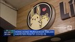 Hong Kong Musnahkan Ribuan Hamster Positif Covid-19