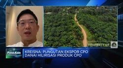 Pemerintah Bakal Larang Ekspor CPO Demi Hilirisasi