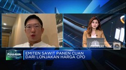 Target Produksi Naik 20%, GZCO Genjot Pemupukan & Replanting