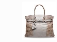 birkin bag membership