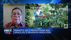 Harga Kopi Melambung, Spekulan Makin Menjadi-jadi?