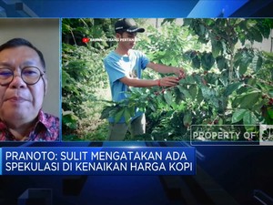 Harga Kopi Melambung, Spekulan Makin Menjadi-jadi?