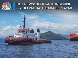 Hot News! BUMI Kantongi IUPK & 75 Kapal Batu Bara Berlayar