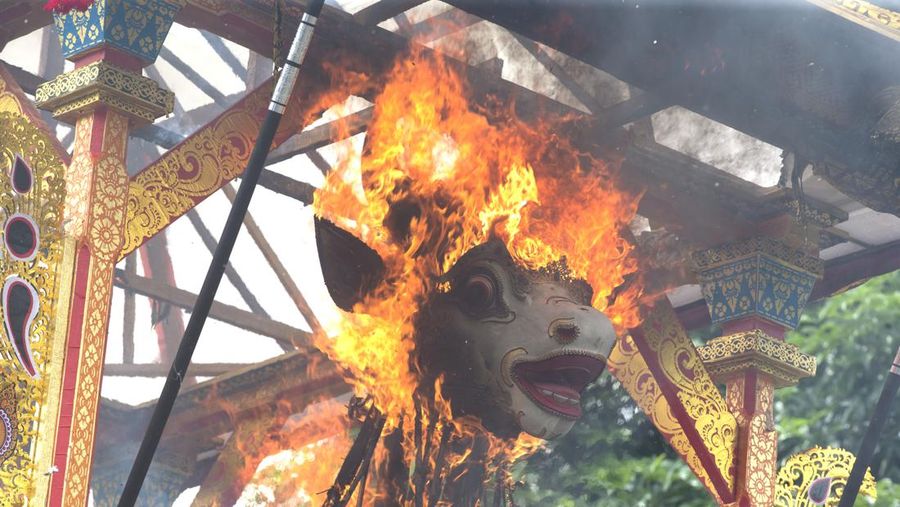 A crowd of people watch a giant sarcophagus in the form of a bull during a procession of King Ida Cokorda Pemecutan XI in Denpasar, Bali, Indonesia on Friday, Jan. 21, 2022. (AP Photo/Firdia Lisnawati)