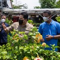 BUMN dan BRI Berdayakan Klaster Tanaman Hias di Gunung Arjuna