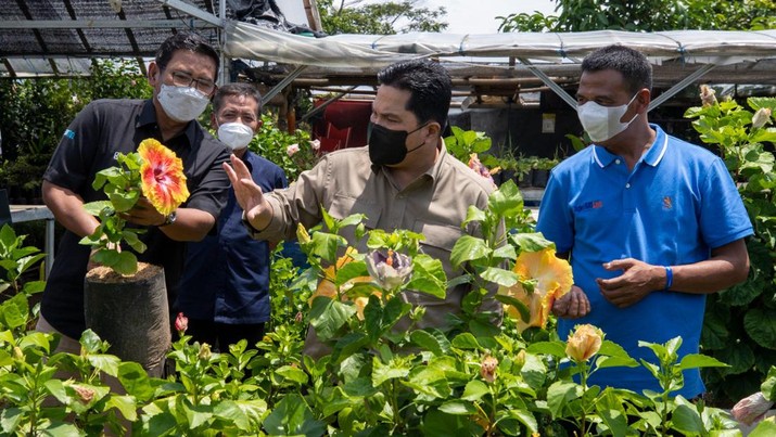 Kementerian BUMN dan BRI Berdayakan Klaster Tanaman Hias Desa Bunga di Lereng Gunung Arjuna Kementerian BUMN dan BRI Berdayakan Klaster Tanaman Hias Desa Bunga di Lereng Gunung Arjuna