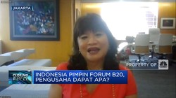 Pembiayaan Hingga Teknologi, Tantangan Transisi Energi RI