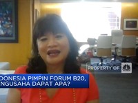 Pembiayaan Hingga Teknologi, Tantangan Transisi Energi RI