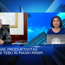 Naikkan Produktivitas Petani, Kunci Kemandirian Gula Nasional