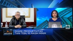 Naikkan Produktivitas Petani, Kunci Kemandirian Gula Nasional