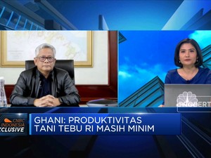 Naikkan Produktivitas Petani, Kunci Kemandirian Gula Nasional