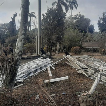 Begini Kondisi Bangunan & Rumah Akibat Tsunami Tonga