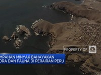 Tumpahan Minyak di Peru Akibat Erupsi Gunung di Tonga