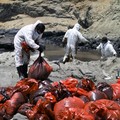 15 Menit Jelang Petaka Besar Dekat RI, Ternyata Ini yang Terjadi