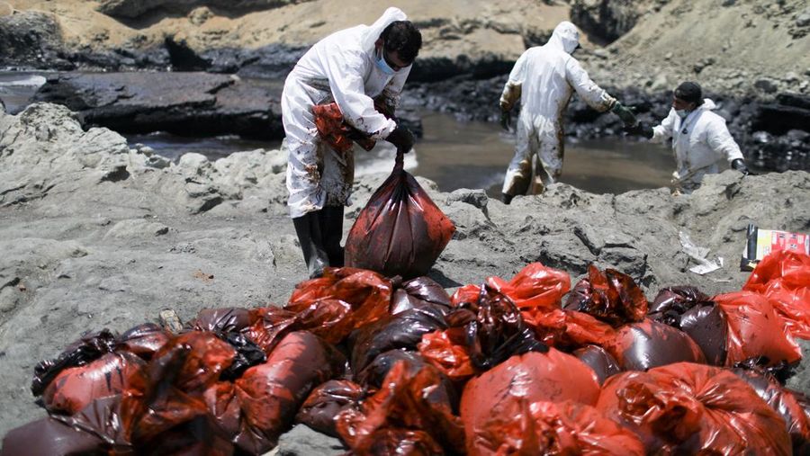 Otoritas setempat dan pekerja kilang La Pampilla, Peru, membersihkan tumpahan minyak di lepas pantai Ventanilla. Tumpahan minyak ini terjadi akibat gelombang tsunami yang dipicu letusan gunung api bawah laut di Tonga. (REUTERS/PILAR OLIVARES)