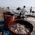 Tumpahan Minyak 6 Ribu Barel Kepung Laut Peru