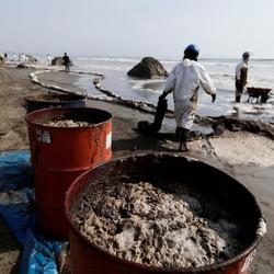 Tumpahan Minyak 6 Ribu Barel Kepung Laut Peru