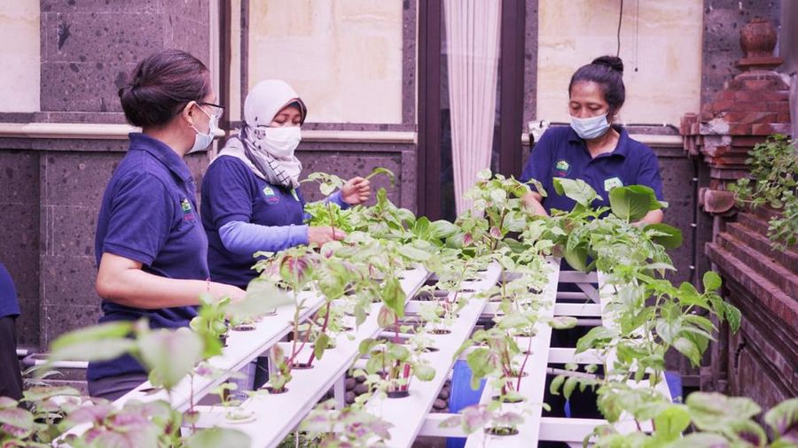 KWT Hidroponik Bali di Bali menerima Bantuan Pemberdayaan Kelompok Perempuan dari BRI.