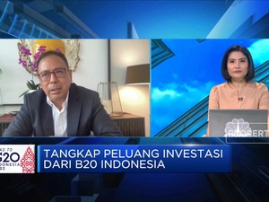 Bos INA: Prospek Green Financing di Forum B20 Luar Biasa
