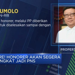 Hore! Honorer Akan Segera Diangkat Jadi PNS