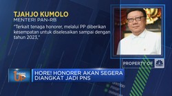 Hore! Honorer Akan Segera Diangkat Jadi PNS