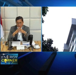 Wamen BUMN Buka-bukaan Progres Pembubaran PLN Batubara