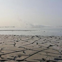 Harta Karun Super Langka Lapindo Bakal Jor-joran Digarap 2023