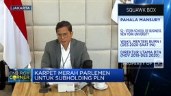 Pahala Mansury Bongkar Target & Tujuan Subholding PLN