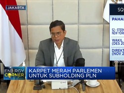 Pahala Mansury Bongkar Target & Tujuan Subholding PLN