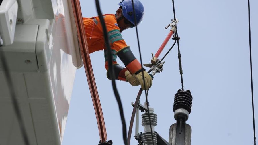 PLN