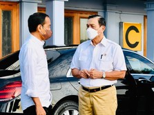 Ditugasi Jokowi, Luhut Bisa Bikin Minyak Goreng Lebih Murah?