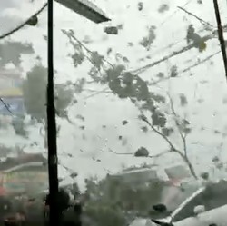 Viral! Bak Topan, Sekitar Sentul Diterpa Hujan & Angin Ngeri