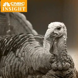 Cerita Turki Ganti Nama Negara Gegara Turkey (Ayam Kalkun)