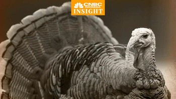 Cerita Turki Ganti Nama Negara Gegara Turkey (Ayam Kalkun)