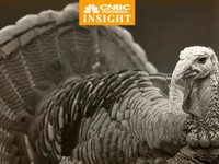 Cerita Turki Ganti Nama Negara Gegara Turkey (Ayam Kalkun)