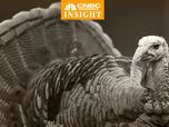 Cerita Turki Ganti Nama Negara Gegara Turkey (Ayam Kalkun)