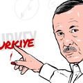 Gara-Gara Ayam Kalkun, Turki Mau Ganti Nama Negara